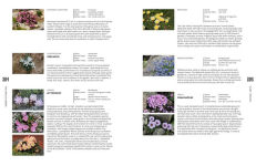 Alternative view 5 of The Crevice Garden: How to make the perfect home for plants from rocky places