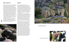 Alternative view 6 of The Crevice Garden: How to make the perfect home for plants from rocky places