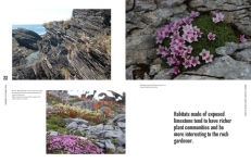 Alternative view 7 of The Crevice Garden: How to make the perfect home for plants from rocky places