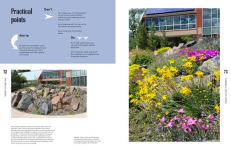 Alternative view 8 of The Crevice Garden: How to make the perfect home for plants from rocky places