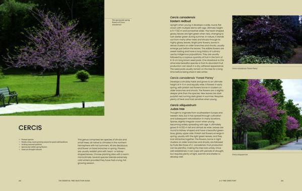 The Essential Tree Selection Guide: For Climate Resilience, Carbon Storage, Species Diversity and Other Ecosystem Benefits