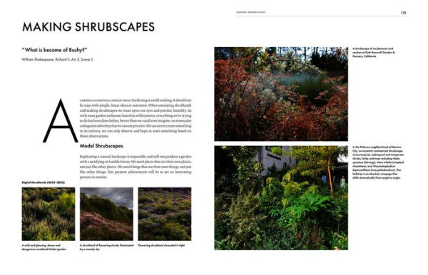 Shrouded in Light: Naturalistic Planting Inspired by Wild Shrublands