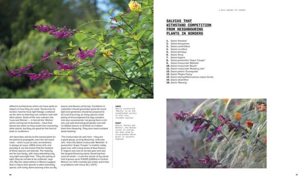 A Beautiful Obsession: Jimi Blake's World of Plants at Hunting Brook Gardens