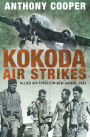 Kokoda Air Strikes: Allied Air Forces in New Guinea, 1942