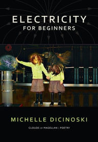 Title: Electricity for Beginners, Author: Michelle Dicinoski