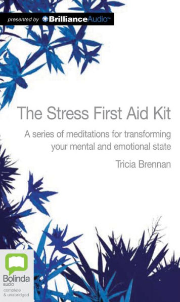 The Stress First-Aid Kit: A Series of Meditations for Transforming Your Mental and Emotional State