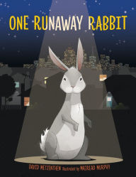 Title: One Runaway Rabbit, Author: David Metzenthen