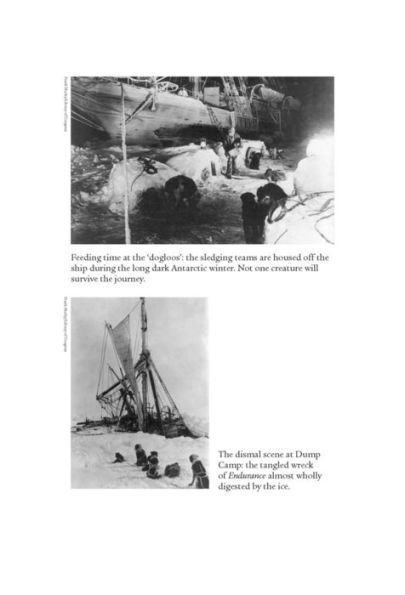 Shackleton's Endurance: An Antarctic Survival Story