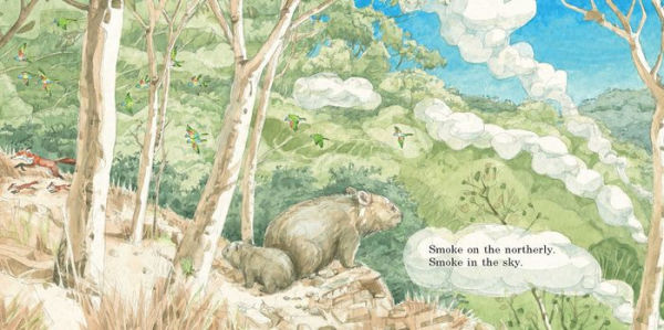 The Beach Wombat