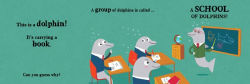 Alternative view 3 of A Circus of Puffins