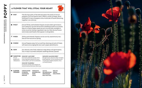 Thames & Hudson USA - Book - Super Bloom: A Field Guide to Flowers