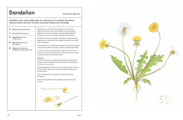 The Healing Garden: Cultivate Your Garden to Treat, Feed, and Soothe