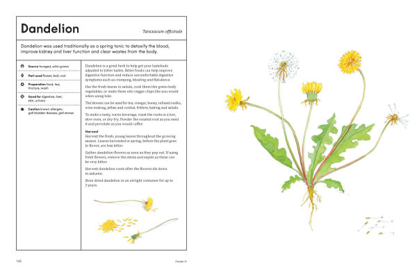 The Healing Garden: Cultivate Your Garden to Treat, Feed, and Soothe