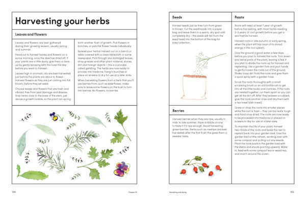 The Healing Garden: Cultivate Your Garden to Treat, Feed, and Soothe