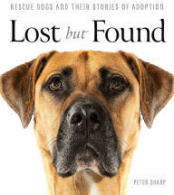 Free ebook downloads for mobipocket Lost But Found 9781760786090 by Peter Sharp PDF