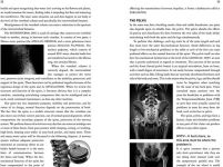 Alternative view 3 of The Secret to a Healthy Spine: A user's guide to overcoming back pain