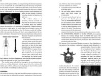 Alternative view 4 of The Secret to a Healthy Spine: A user's guide to overcoming back pain