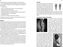Alternative view 6 of The Secret to a Healthy Spine: A user's guide to overcoming back pain