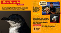 Alternative view 5 of Incredible Coastal Critters