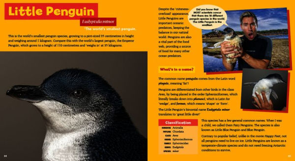 Incredible Coastal Critters