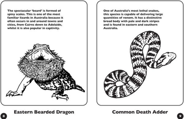 Australian Reptiles-Color and Learn: Colour and Learn