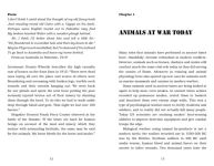 Alternative view 10 of Animals In Combat