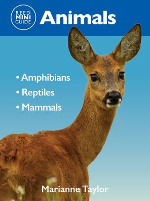 Reed Mini Guide: Animals: Amphibians l Reptiles l Mammals