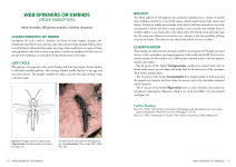 Alternative view 6 of A Field Guide to Insects of Australia