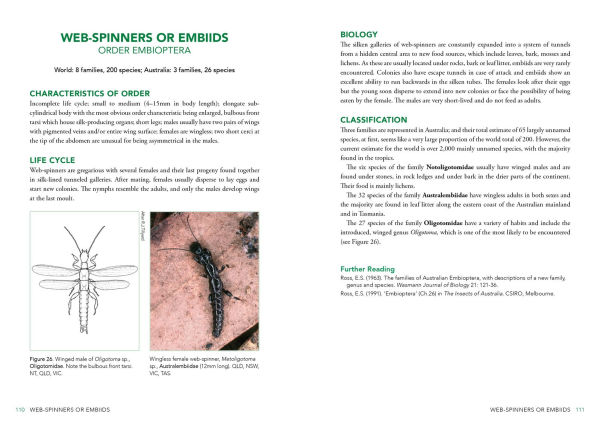 A Field Guide to Insects of Australia