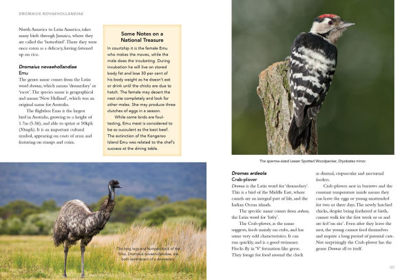 Birds What's in a Name?: from Accipiter to Zoothera The Origin of Bird Names