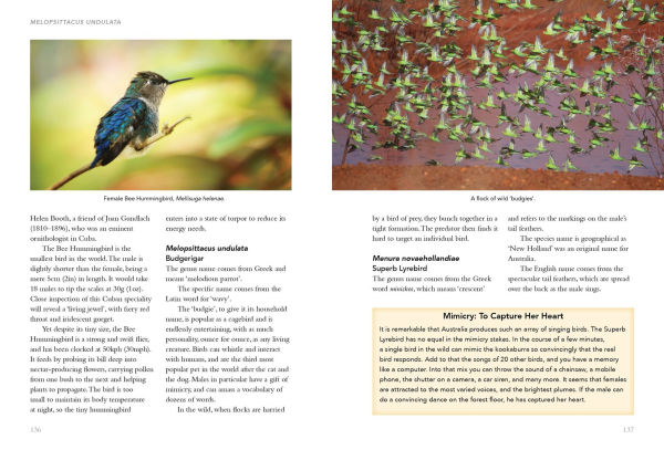 Birds What's in a Name?: from Accipiter to Zoothera The Origin of Bird Names