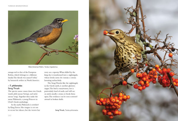 Birds What's in a Name?: from Accipiter to Zoothera The Origin of Bird Names