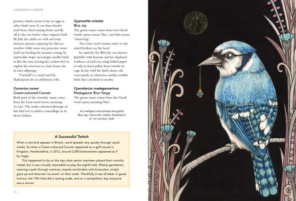 Birds What's in a Name?: from Accipiter to Zoothera The Origin of Bird Names