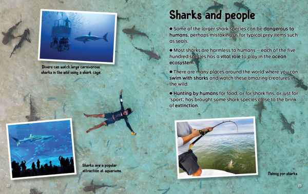 Did You Know? Sharks: Mysterious ocean wanderers that are full of surprises