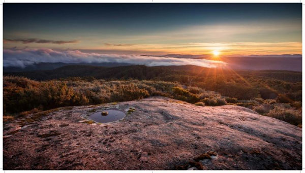 The Great Forest: The rare beauty of the Victorian Central Highlands