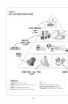 Alternative view 3 of The Proof Is in the Plants: How Science Shows a Plant-Based Diet Could Save Your Life (and the Planet)
