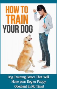 Title: How to Train Your Dog: Dog training basics that will have your dog or puppy obedient in no time!, Author: Mason Rampey