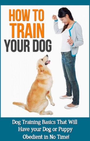 How to Train Your Dog: Dog training basics that will have your dog or puppy obedient in no time!