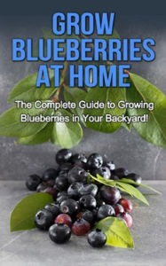 Title: Grow Blueberries at Home: The complete guide to growing blueberries in your backyard!, Author: Steve Ryan