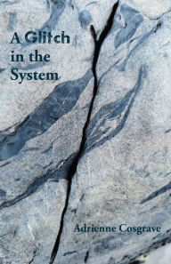 Title: A Glitch in the System, Author: Adrienne Cosgrave