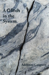 Title: A Glitch in the System, Author: Adrienne Cosgrave