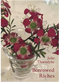 Title: Borrowed Riches, Author: Julie Thorndyke