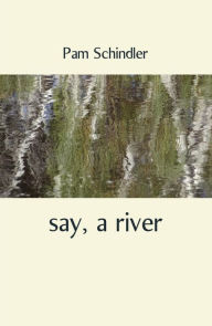 Title: say, a river, Author: Pam Schindler