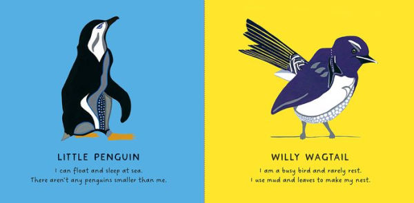 Our Birds: A Celebration of Australian Wildlife