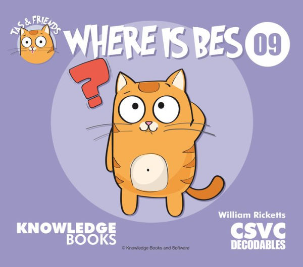 Where Is Bes?: Book 9