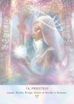 Alternative view 3 of LightWeb Oracle Deck: Soul Technology (44 Full-Color Cards and 140-Page Full-Color Guidebook)