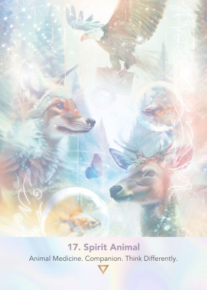 LightWeb Oracle Deck: Soul Technology (44 Full-Color Cards and 140-Page Full-Color Guidebook)