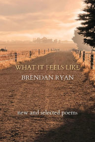 Ebook for kid free download What It Feels Like 9781763670136 English version FB2 by Brendan Ryan