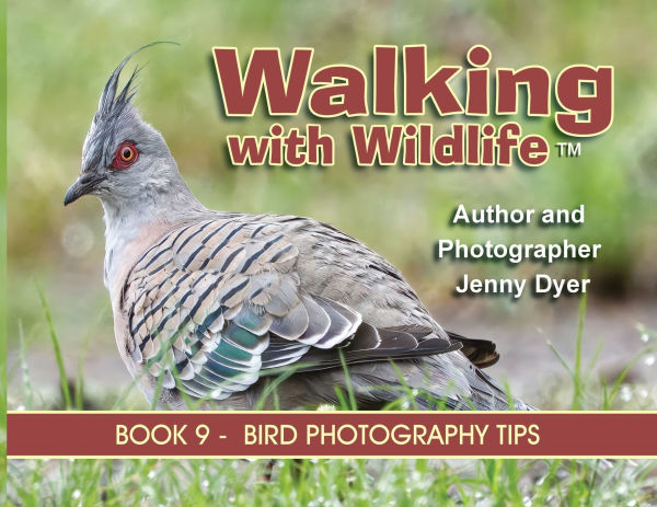 Walking With Wildlife - Book 9: Bird Photography Tips