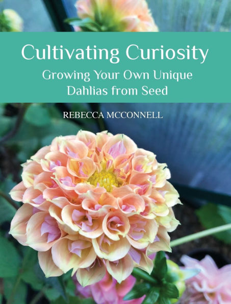 Cultivating Curiosity: Growing Your Own Unique Dahlias from Seed